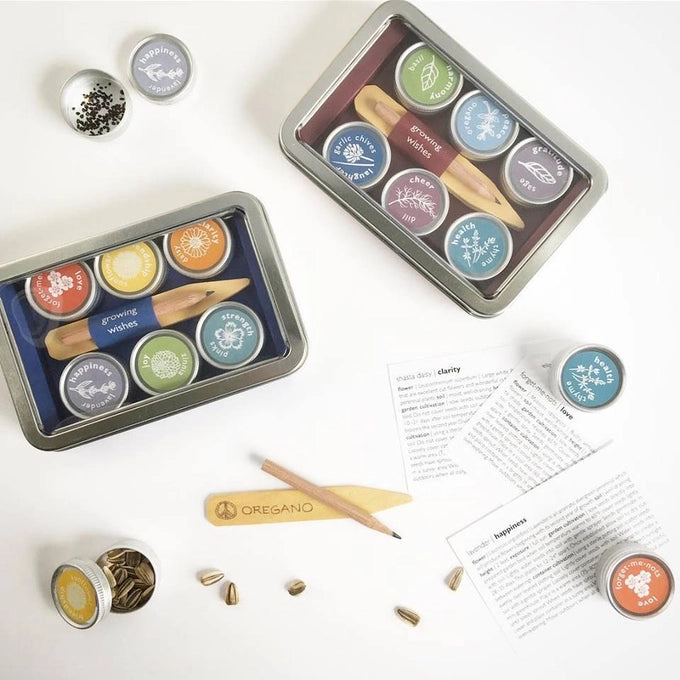Organic Herb Seed Kit