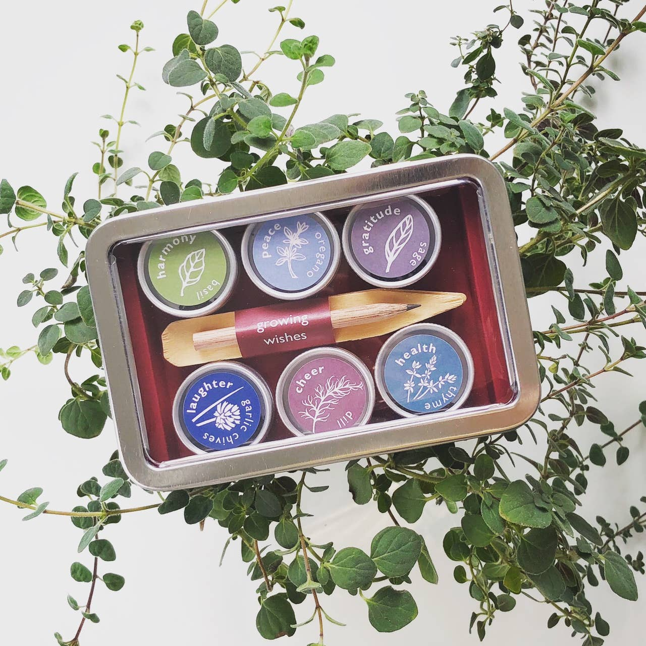Organic Herb Seed Kit