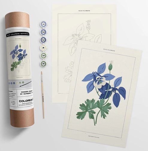 Paint By Numbers Blue Columbine