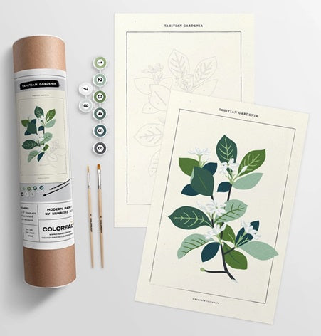 Paint By Numbers - Tahitian Botanical